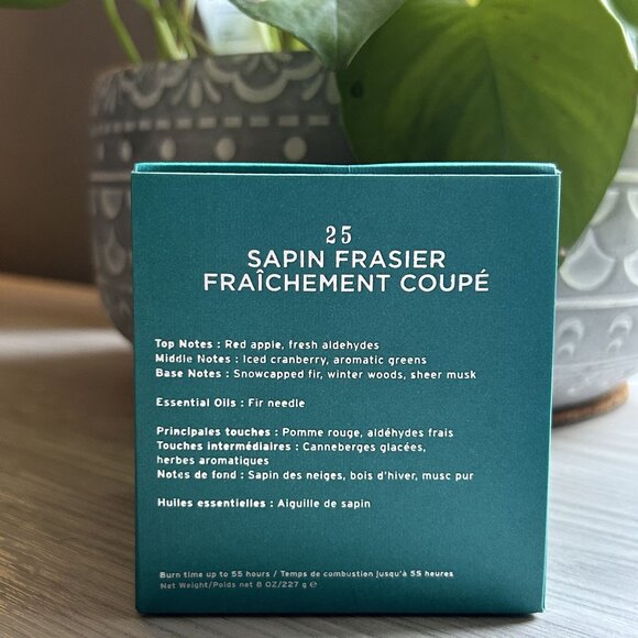 NEW VOY Fragrance Fresh Cut Frasier Fir Candle Christmas Tree Soy Blend Gift - Picture 2 of 7